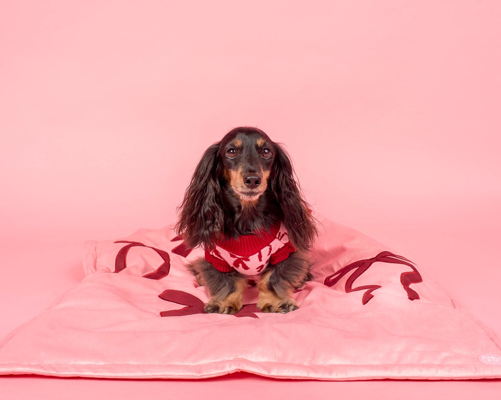 Velvet Blush Bows Dog Blanket