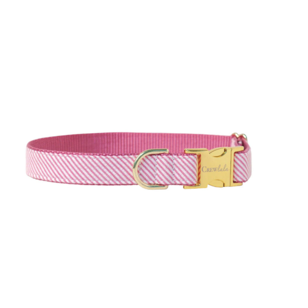 Fuchsia Seersucker Belle Bow Dog Collar