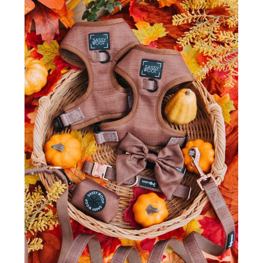 Teddy adjustable harness