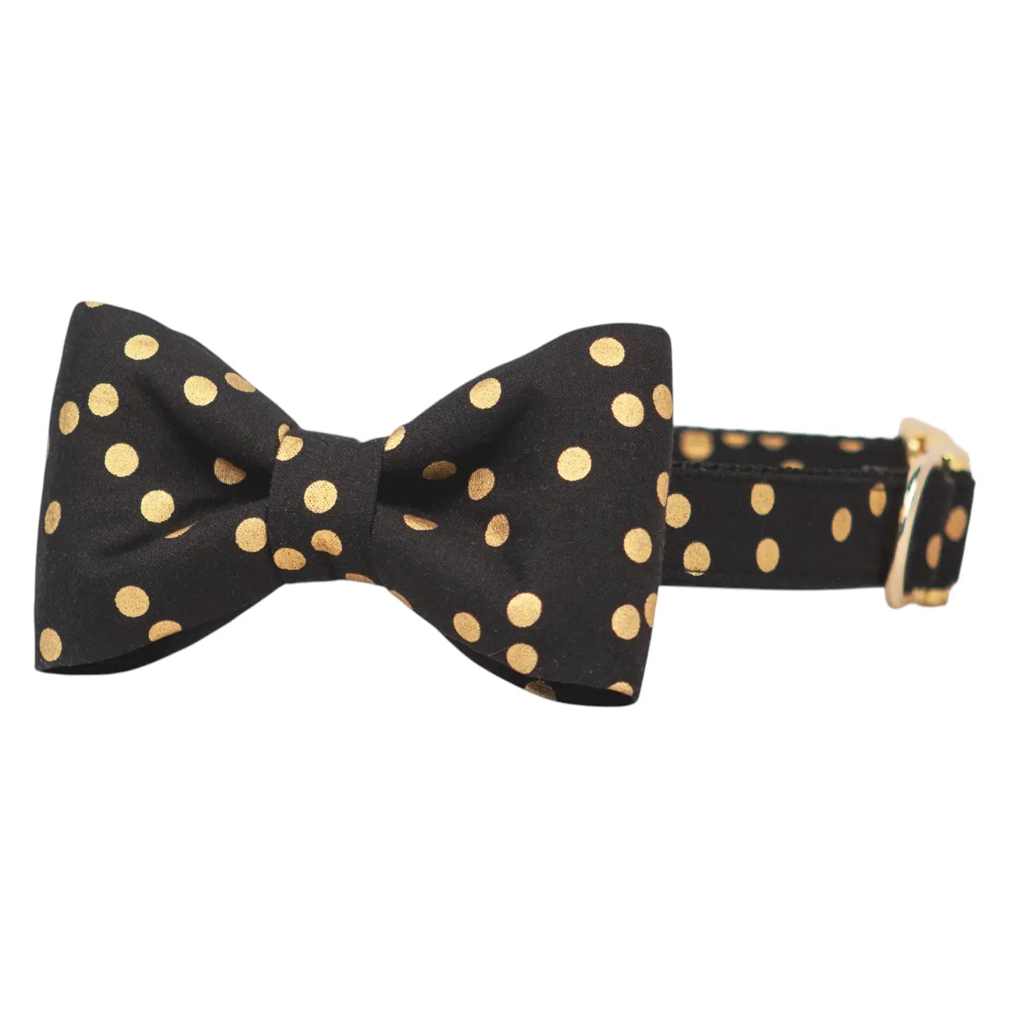 Black party dot bow tie dog collar