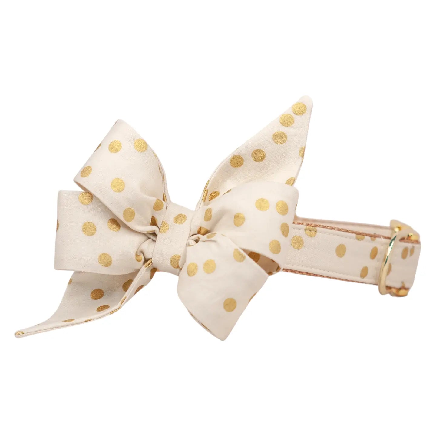Ivory party dot Belle bow dog collar