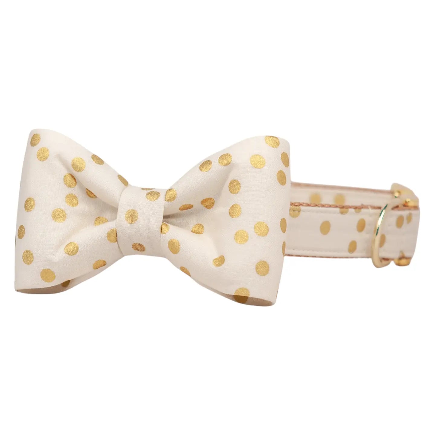 Ivory party dot bow tie dog collar