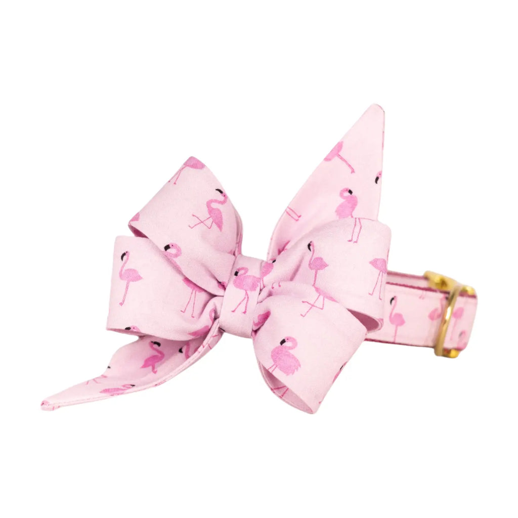 Flamingo fun crew La La collar