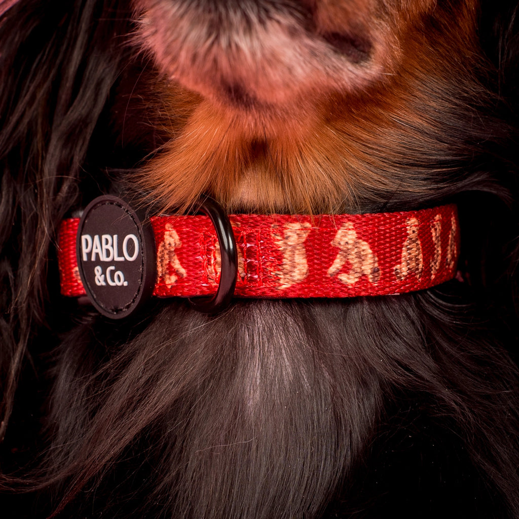 Henry bear collar