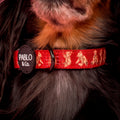 Henry bear collar