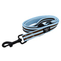 Sunday stripes dog lead