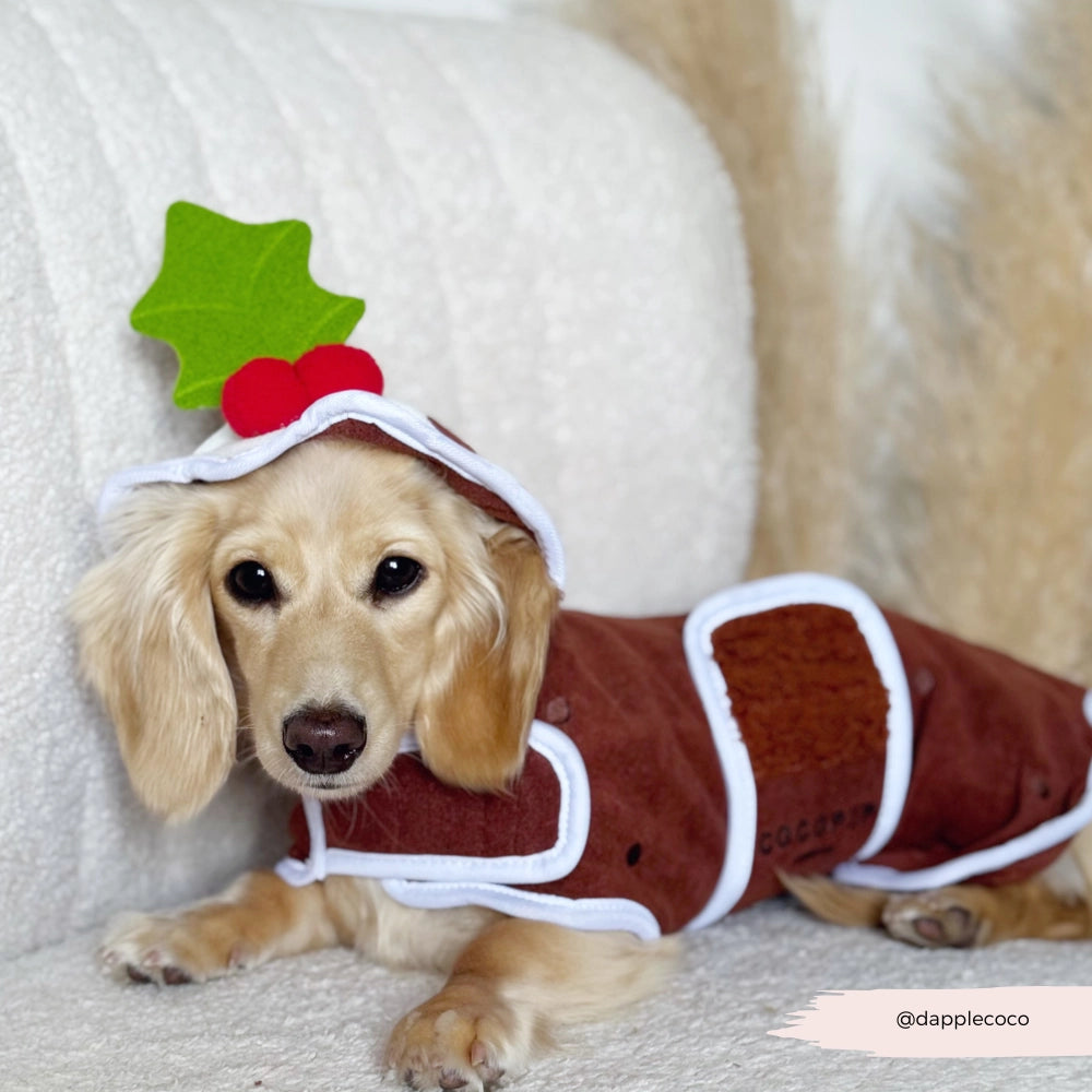 Cocopup Christmas pudding bath drying robe