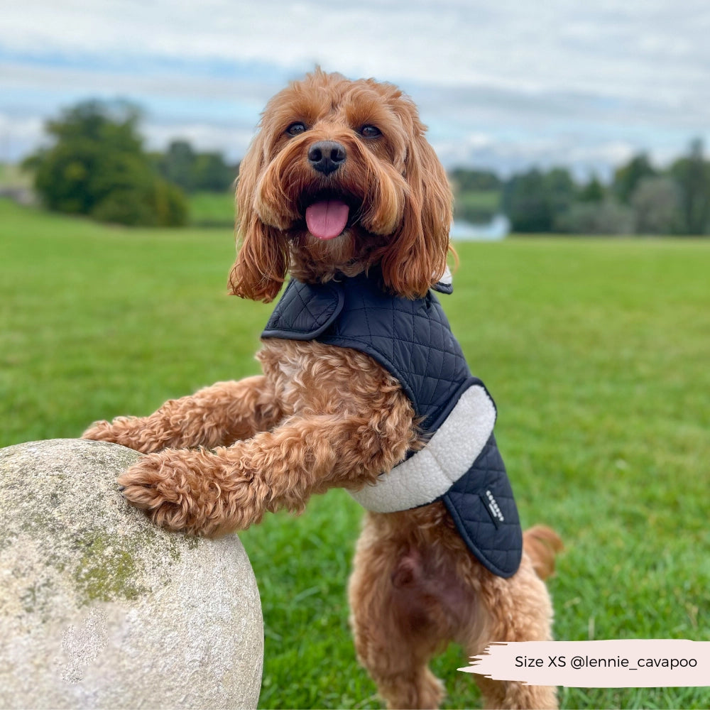 Cocopup quilted midnight black coat