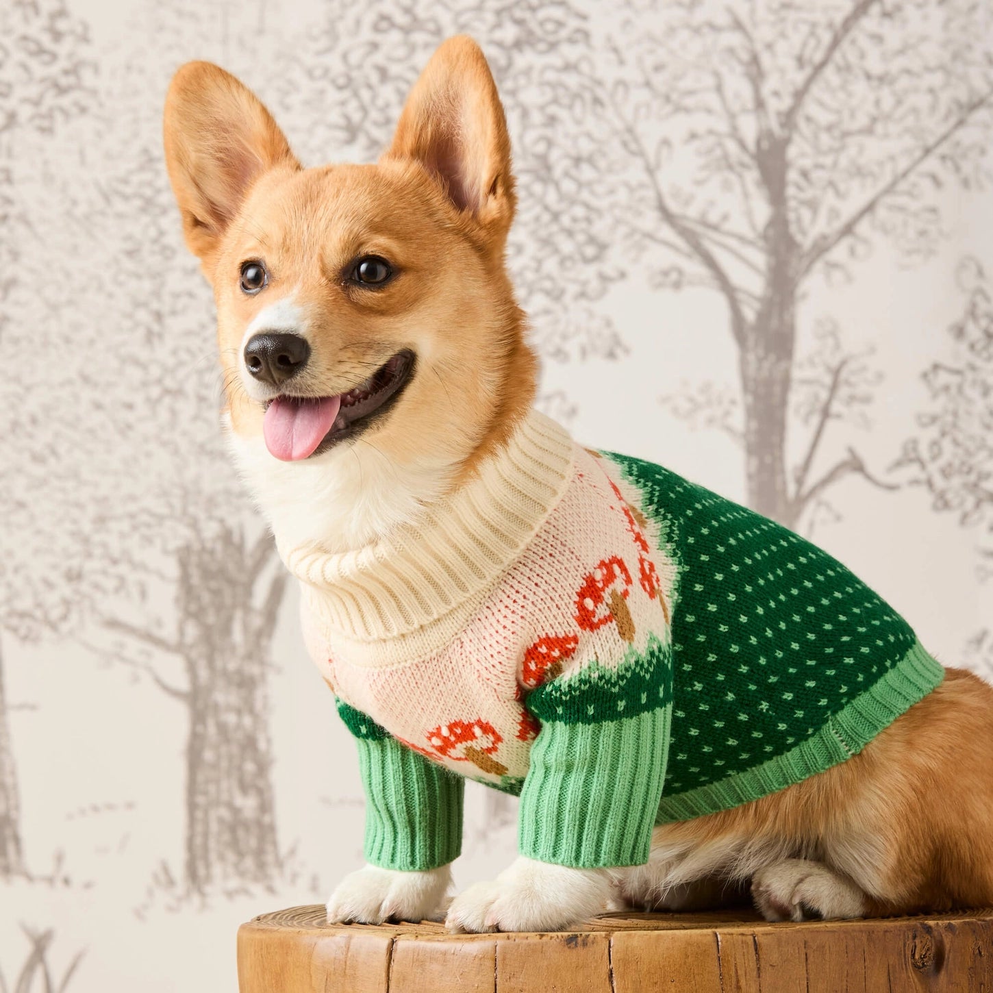 Toadstool dog jumper