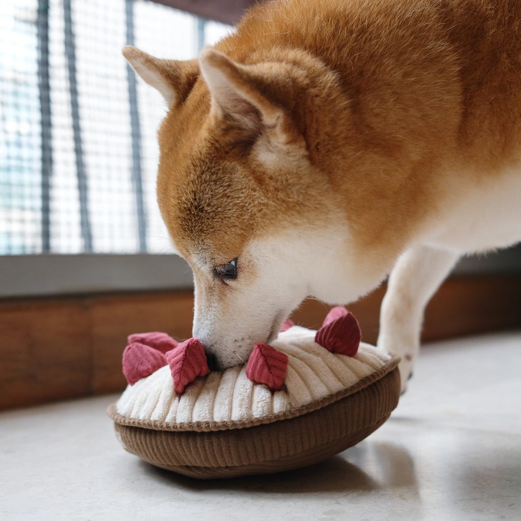 Berry pie enrichment toy