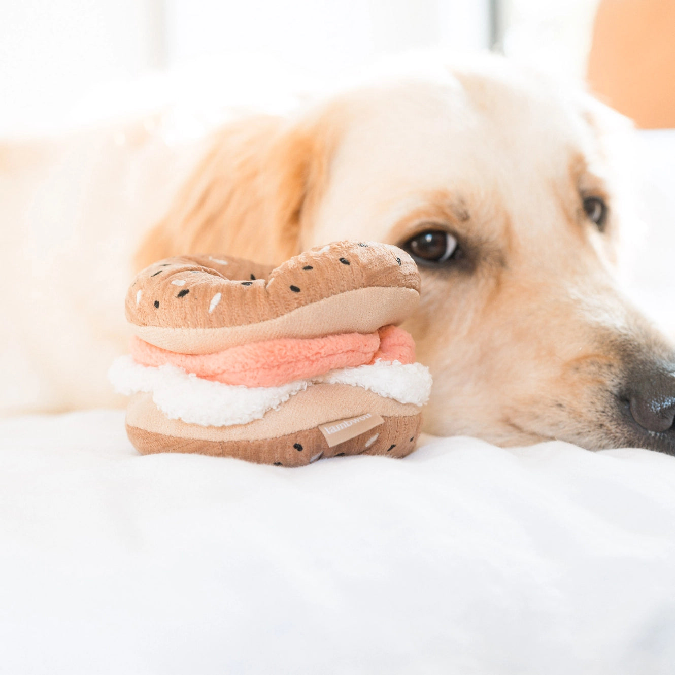Bagel & pickle set