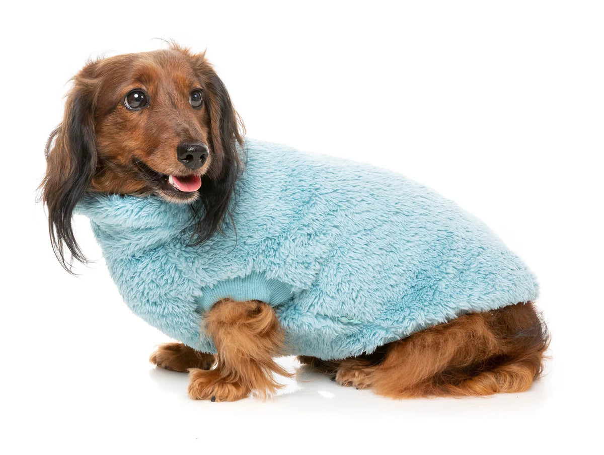 Teddy turtle jumper blue