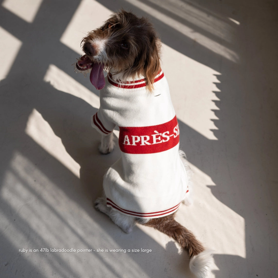 Apres ski  dog jumper
