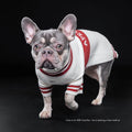 Apres ski  dog jumper
