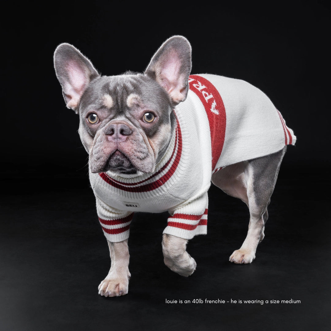 Apres ski  dog jumper