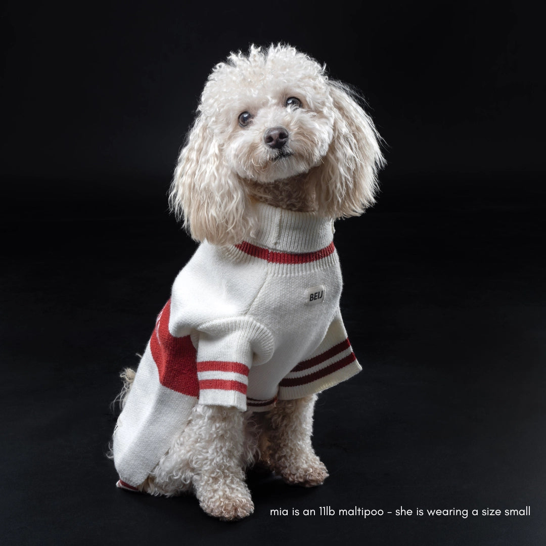 Apres ski  dog jumper
