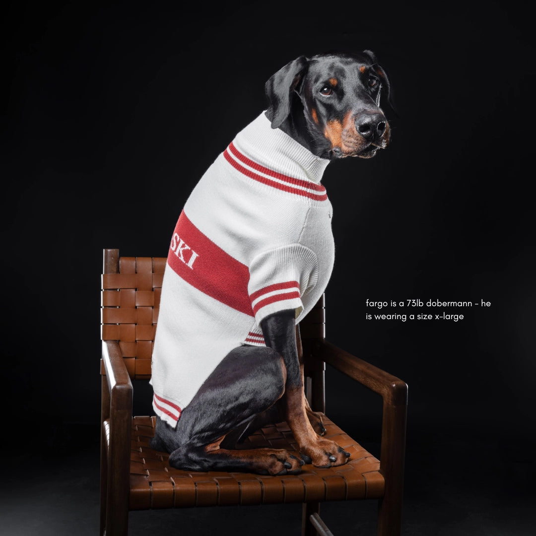 Apres ski  dog jumper