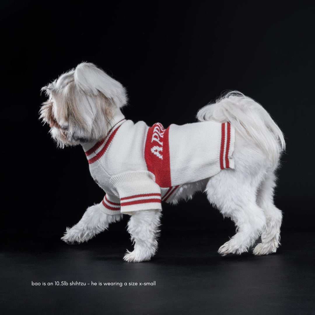 Apres ski  dog jumper