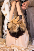 Toffee Dog Carrier