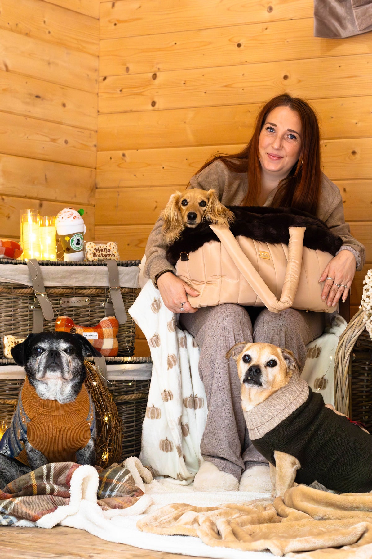 Toffee Dog Carrier