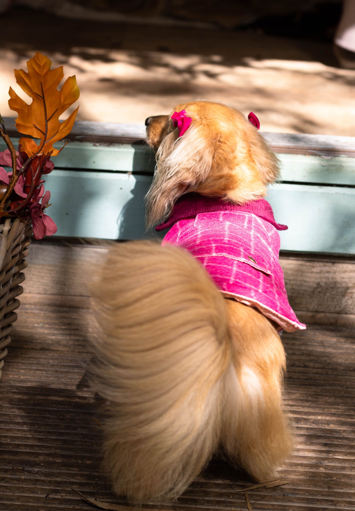 Tweed Dog Coat