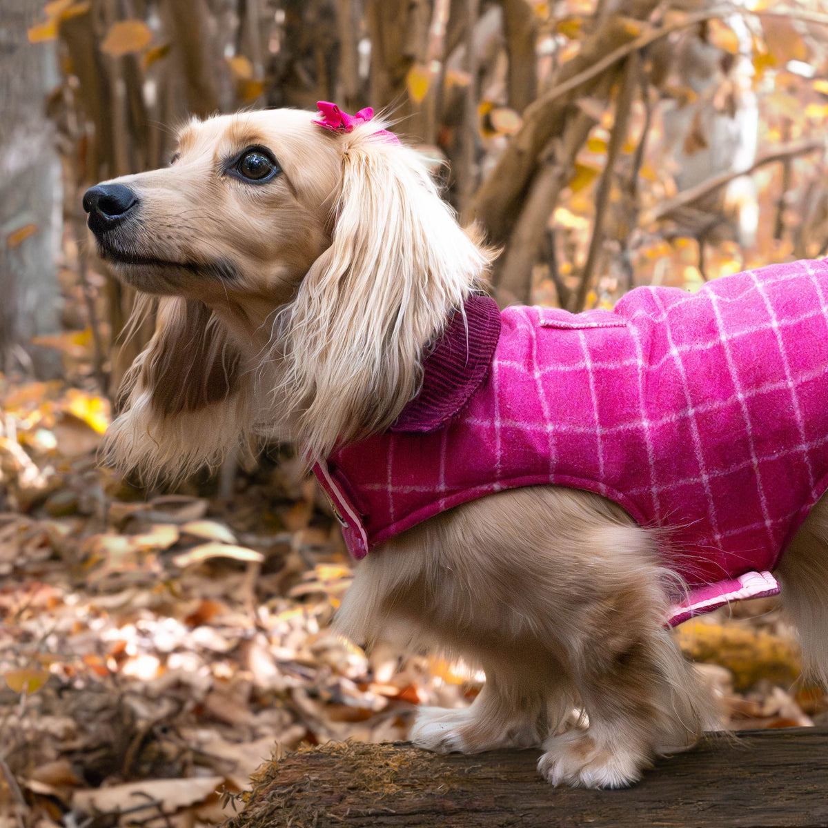 Tweed Dog Coat
