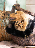Leopard Dog Carrier