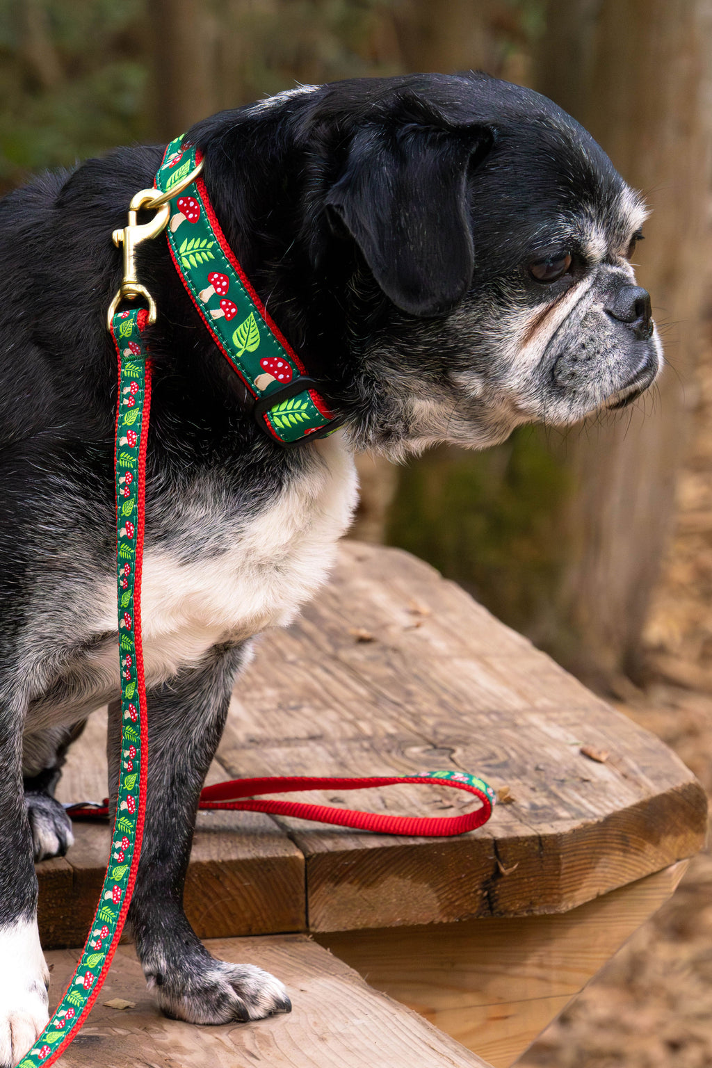 Mushrooms Dog Collar