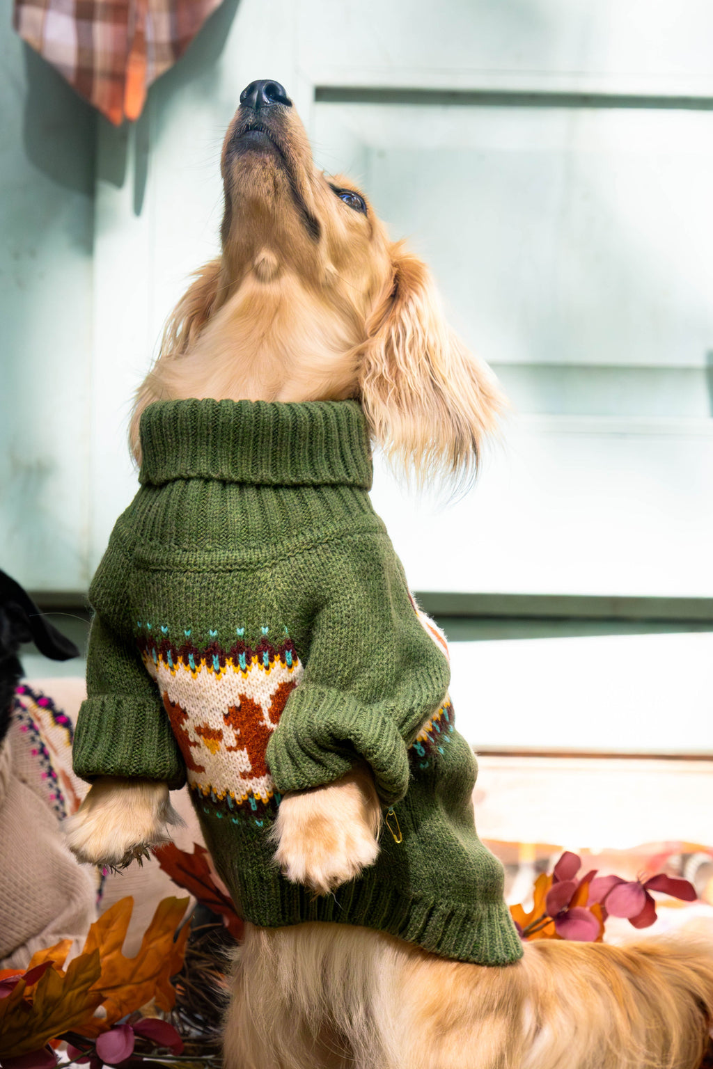 Squirrel Dog Sweater