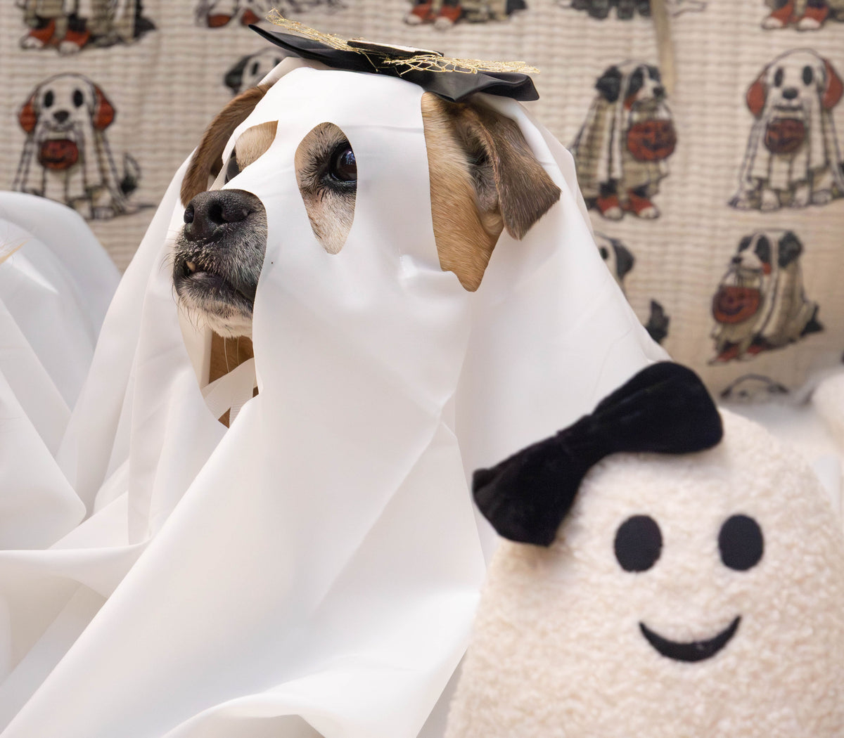 Ghost dog costume