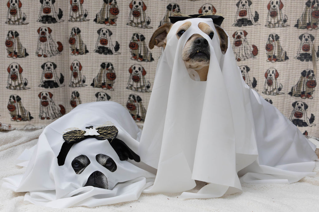 Ghost dog costume