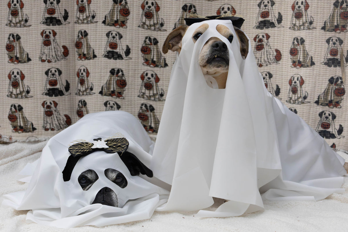 Ghost dog costume