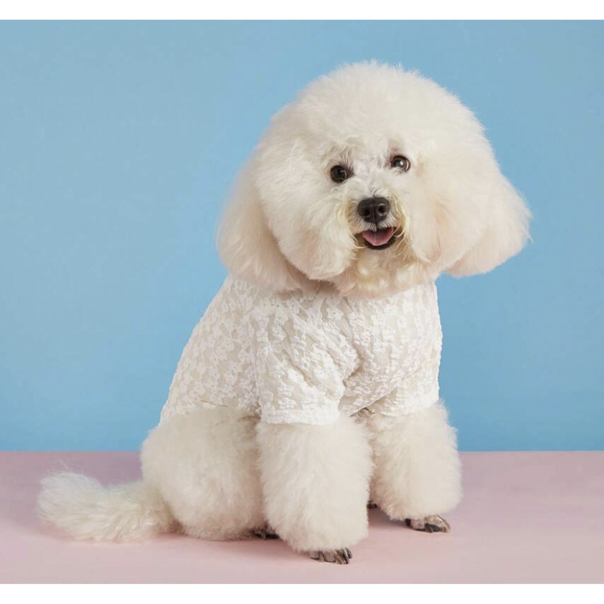 White Lace Flower Top