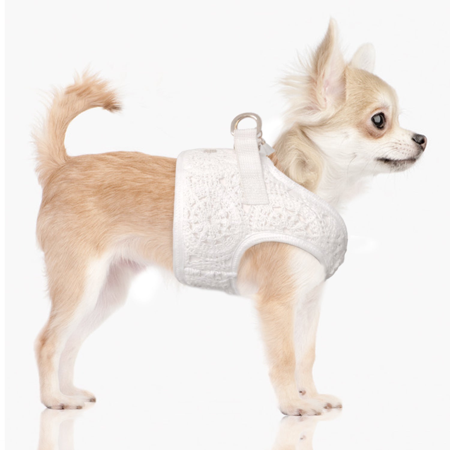 Athena Crochet harness for dogs