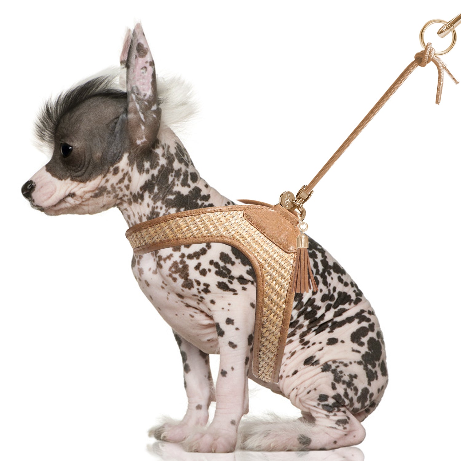 Assia Slings Paille harness