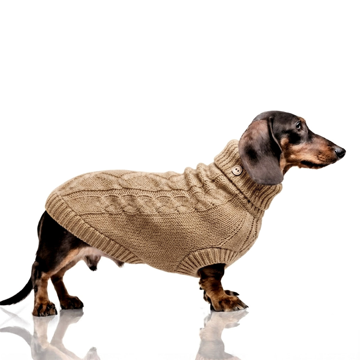 Montgomery Toffee cable knit dog jumper
