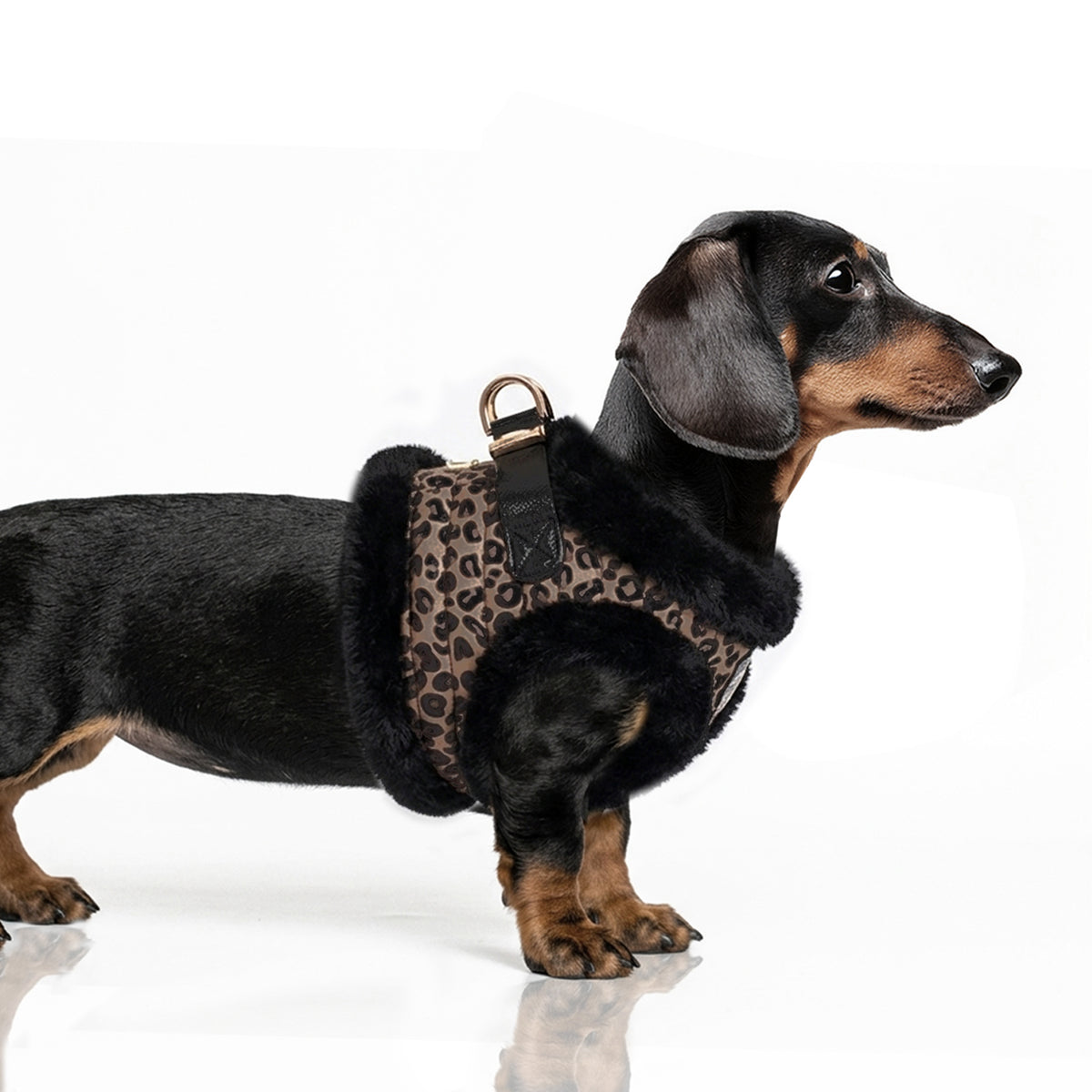 Leopard fur dog harness