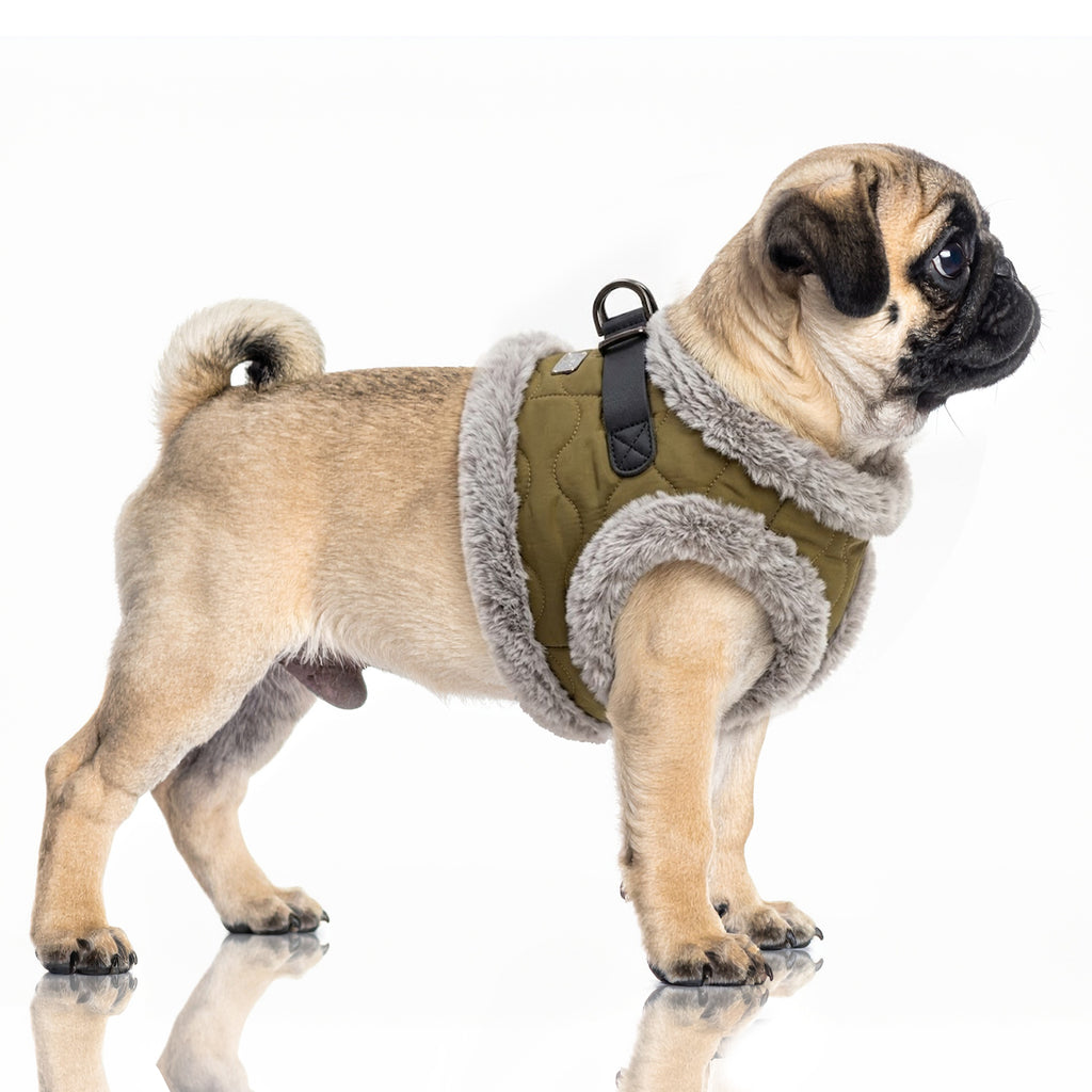 Khaki fur dog harness