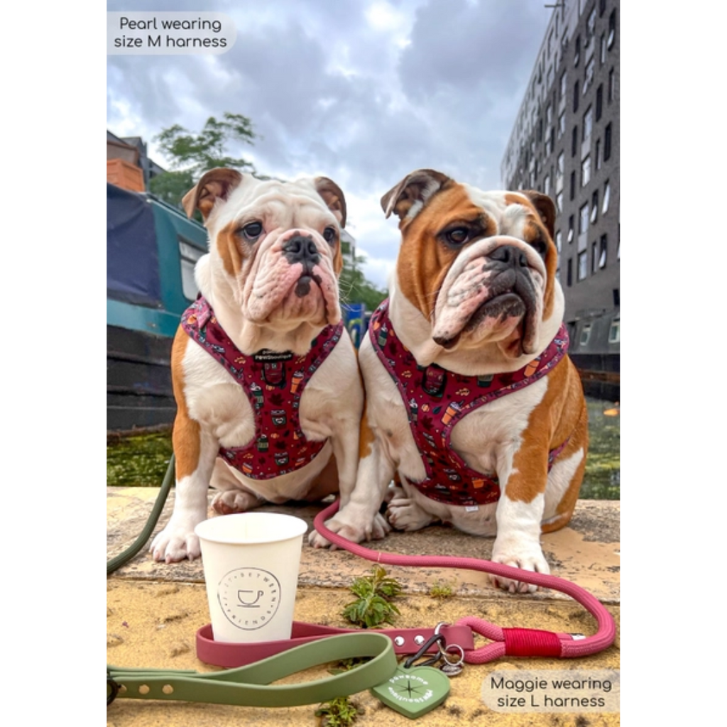 Mulberry Spice Adjustable Harness