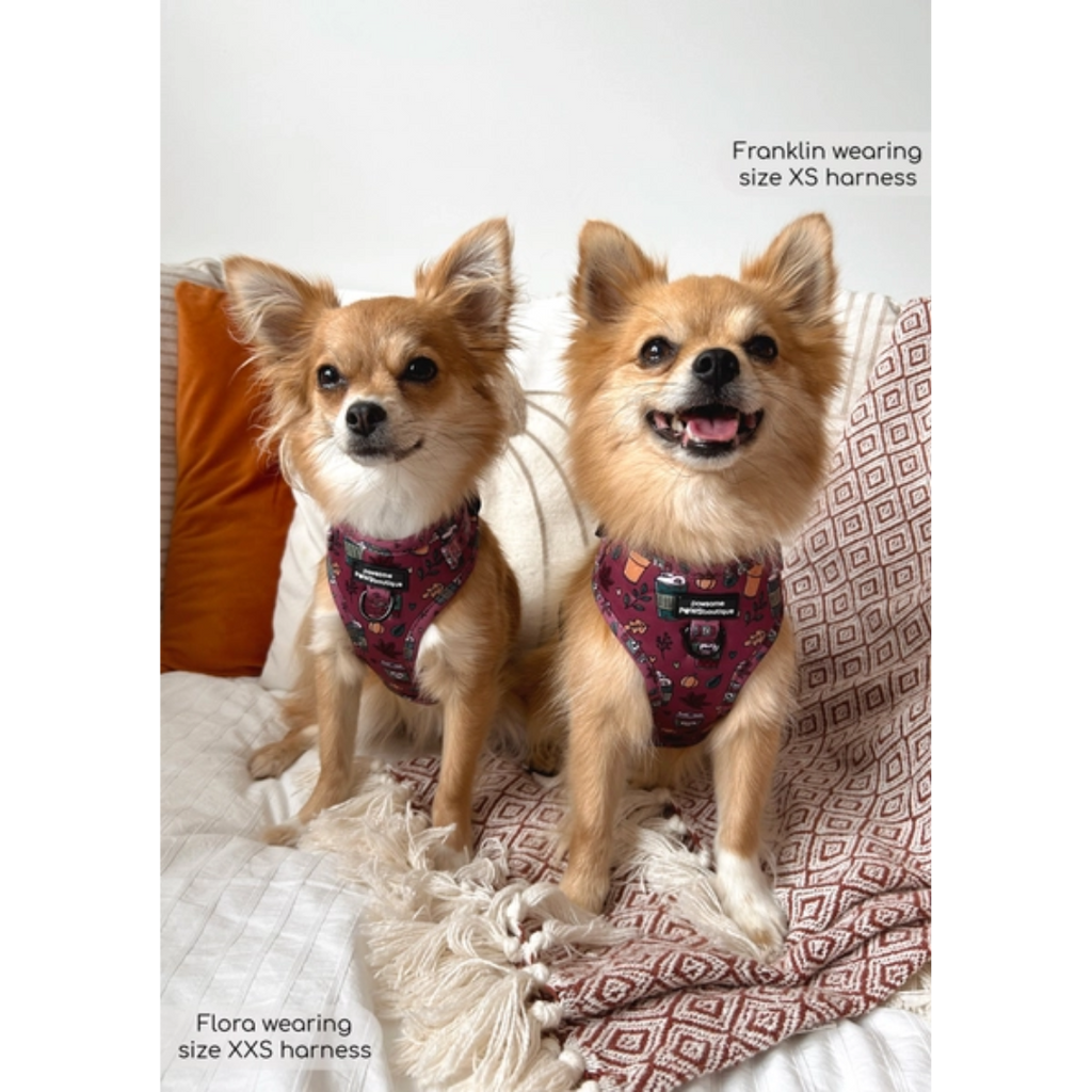 Mulberry Spice Adjustable Harness