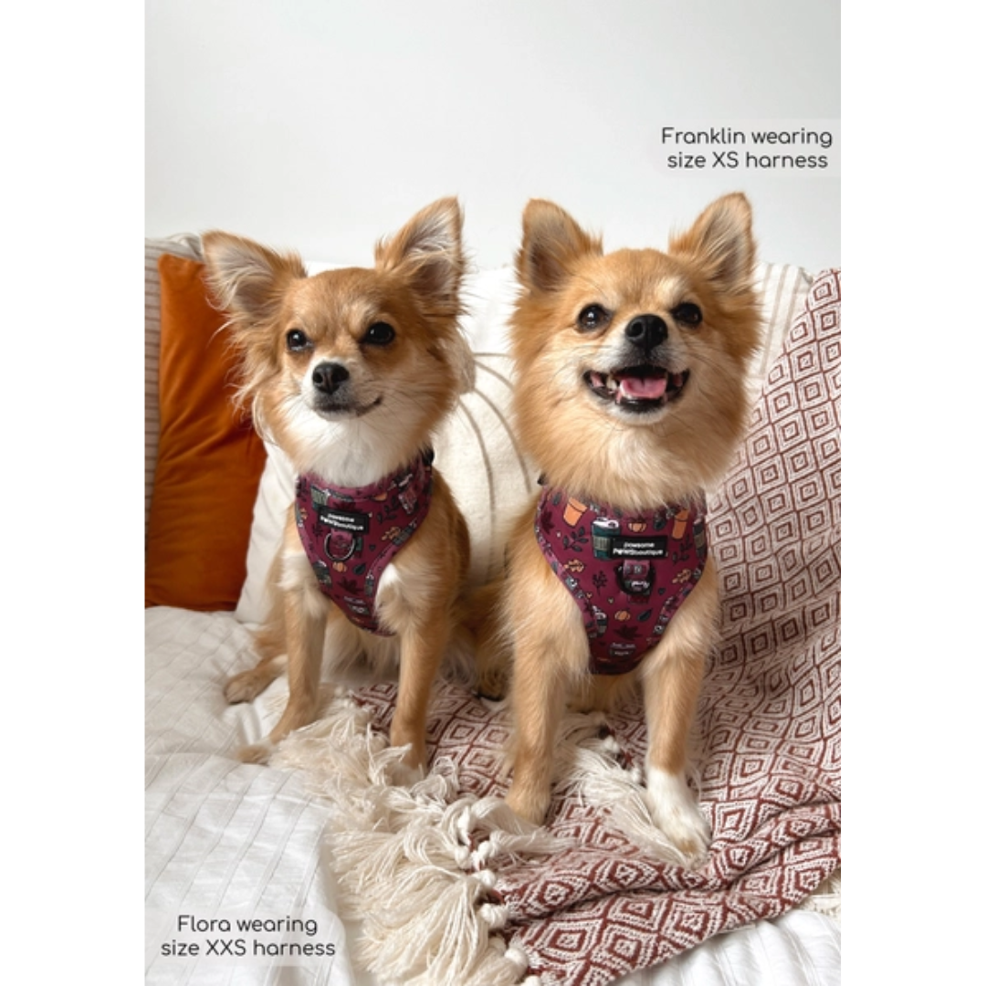 Mulberry Spice Adjustable Harness