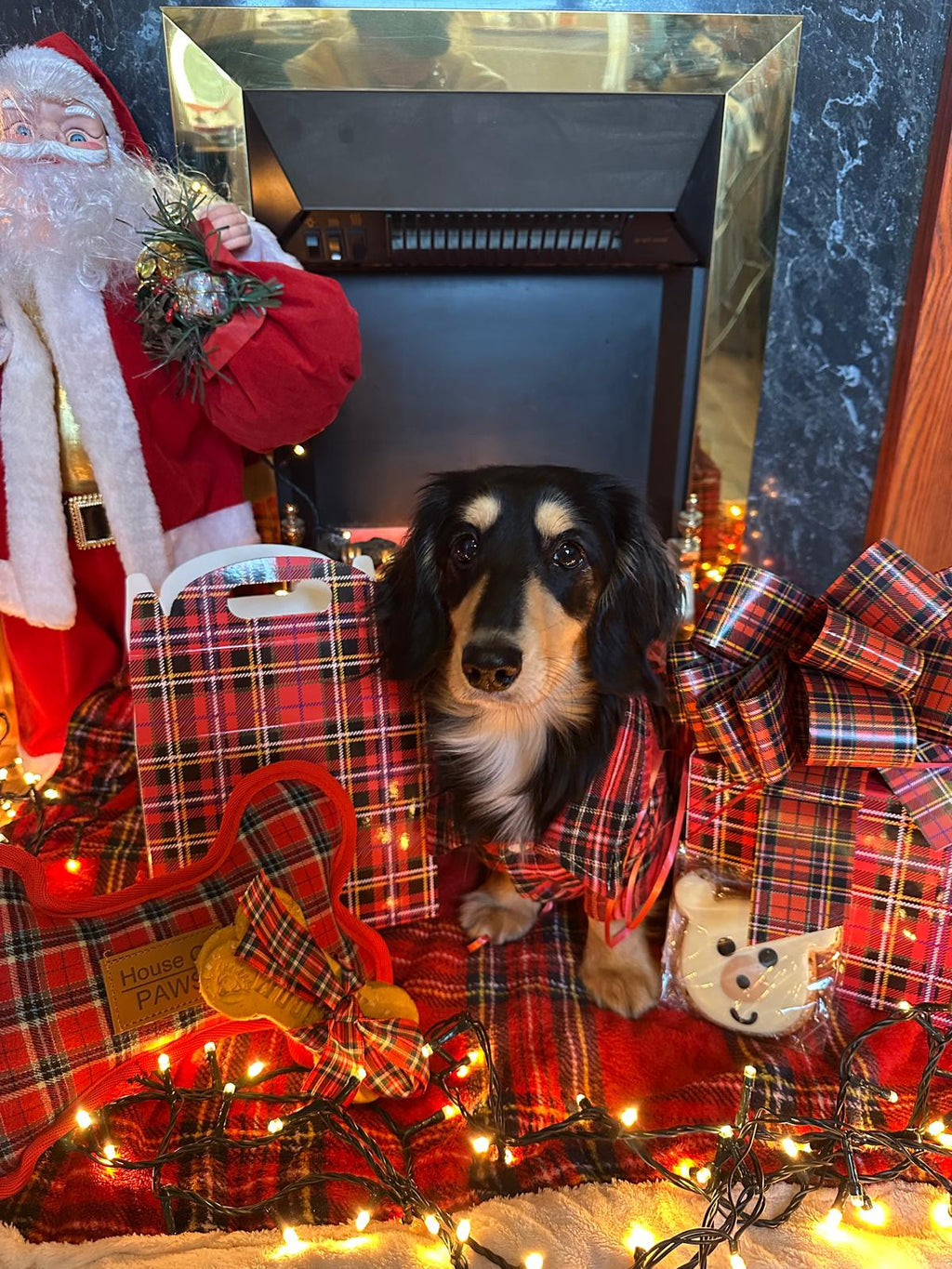 The Ralph Christmas Gift Box