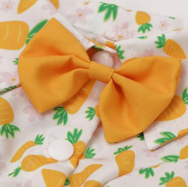 Carrot dog shirt