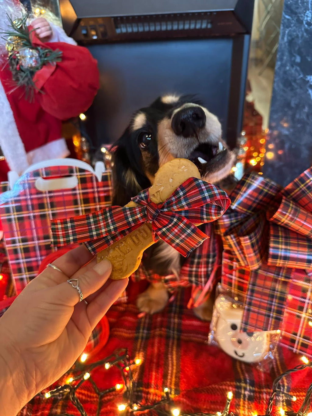 The Ralph Christmas Gift Box