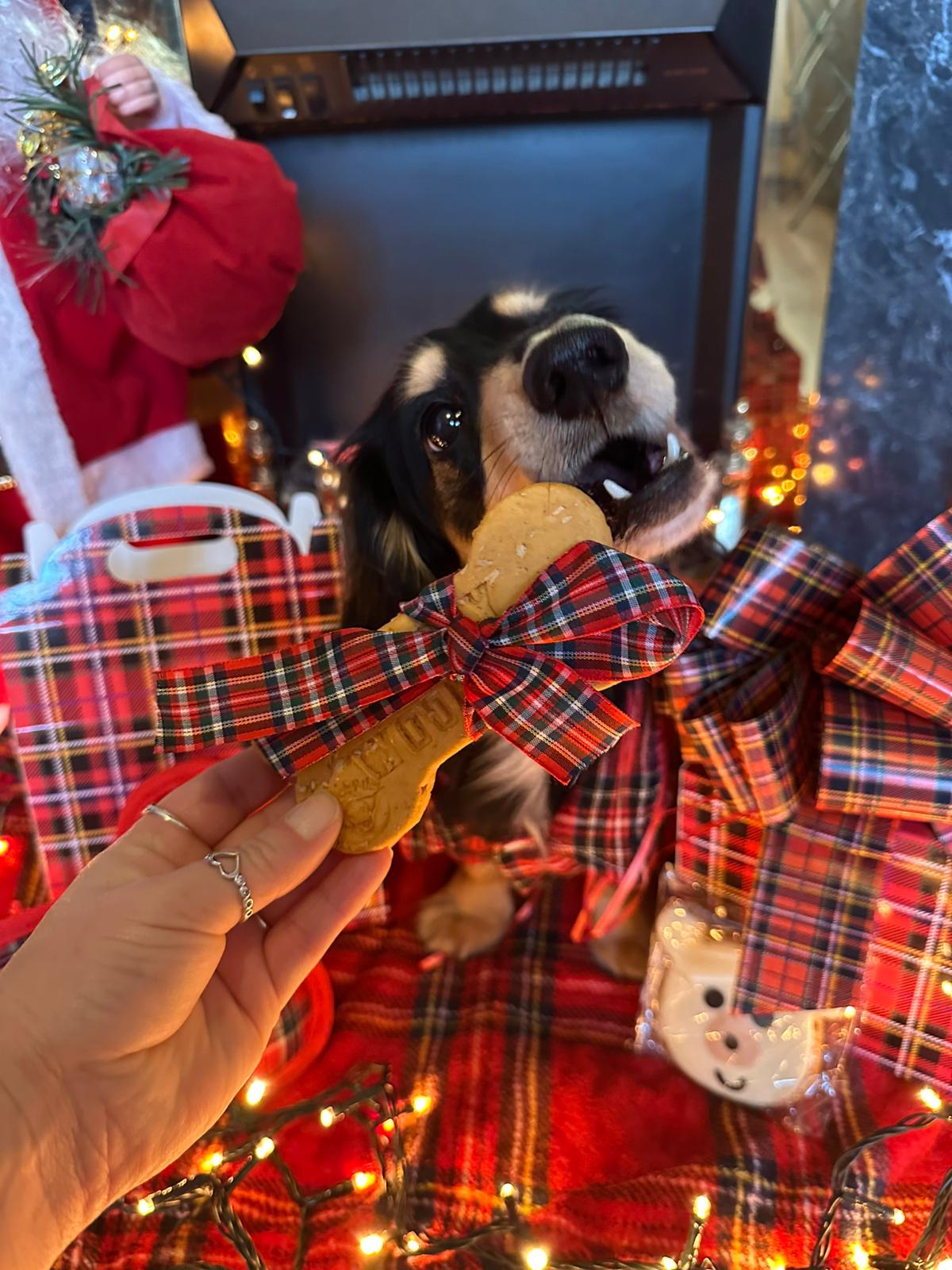 The Ralph Christmas Gift Box