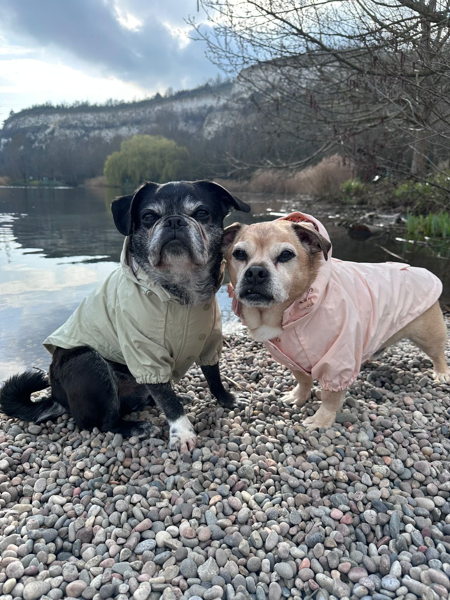 Sage Dog Raincoat