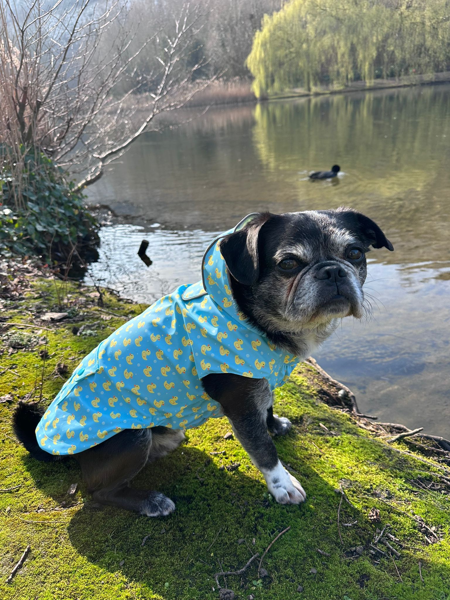 Rubber Duck London Raincoat