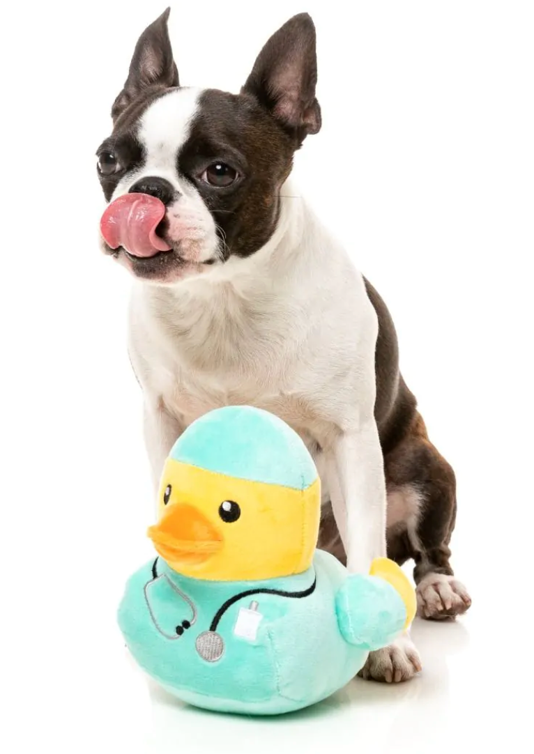 Fuzzyard Duck- Ducktor