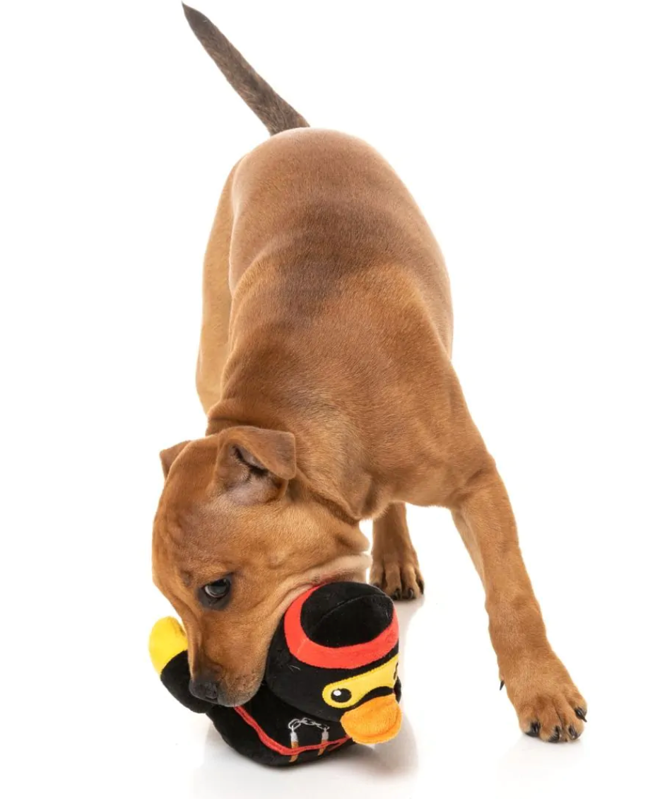 Fuzzyard Duck - Quackie Chan