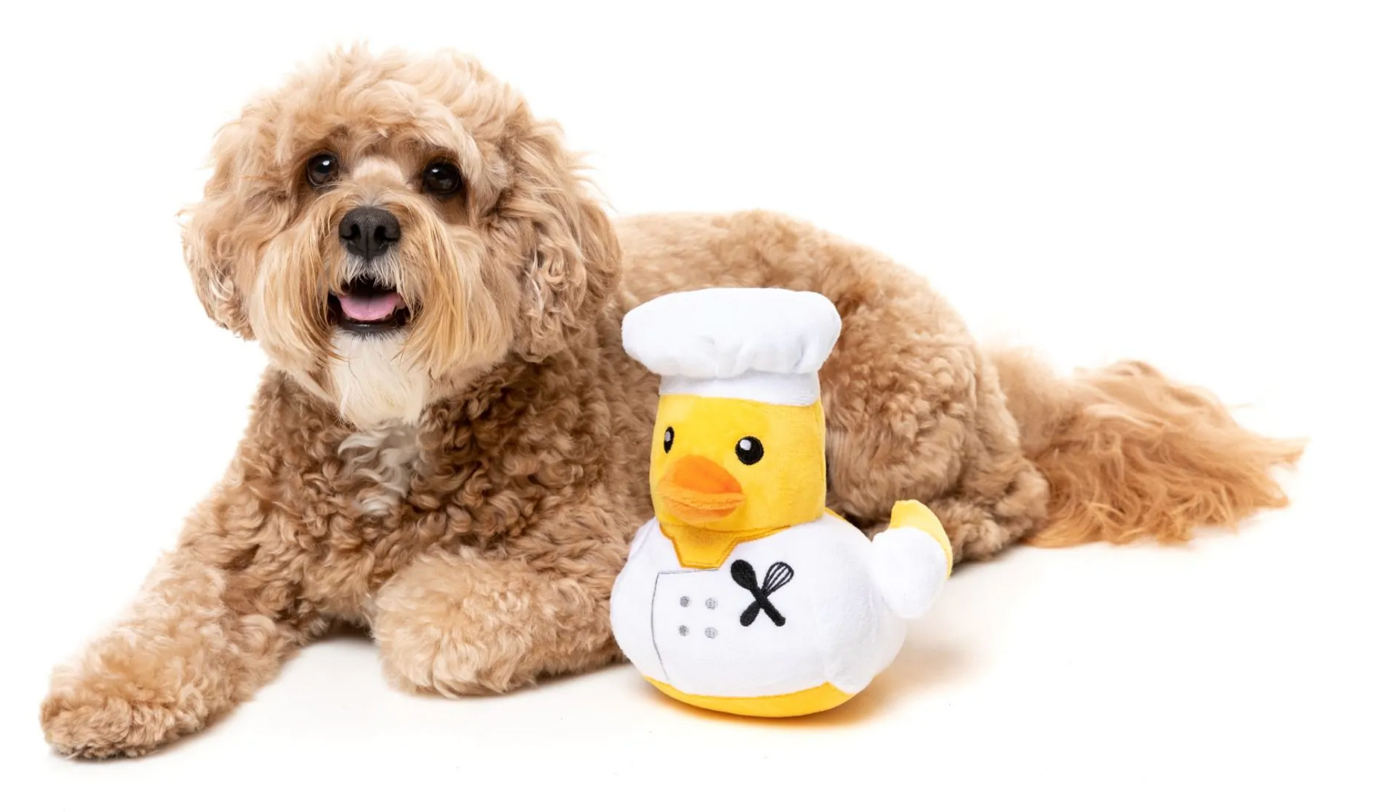 Fuzzyard Duck - Gordon Quacksay